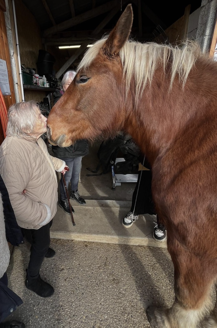 capture d’écran 2026 03 05 à 09.16.35