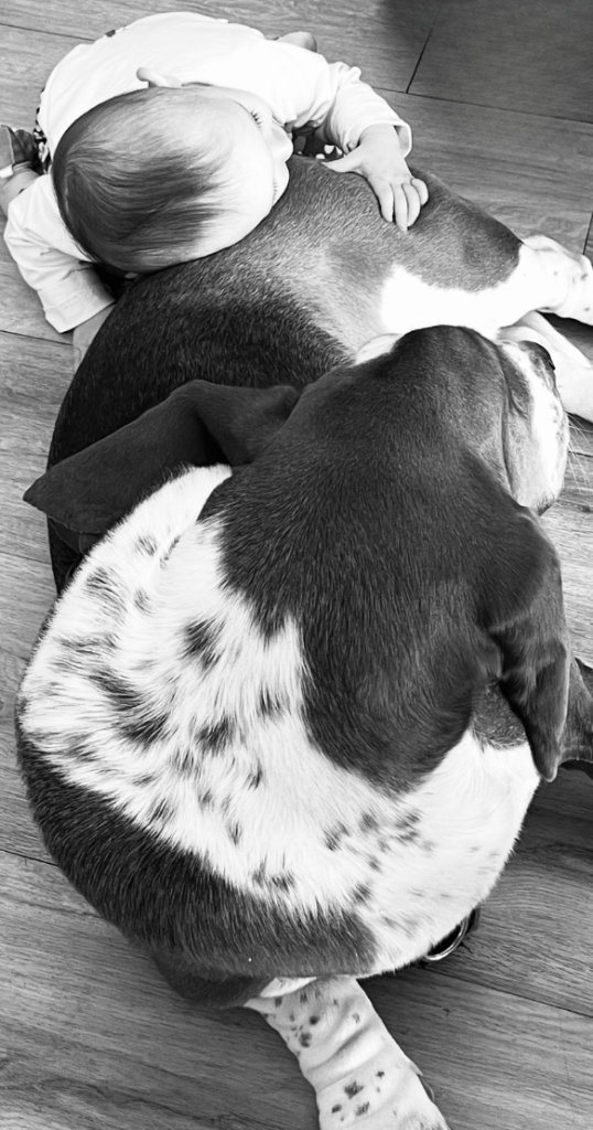 capture d’écran 2026 02 21 à 15.17.26