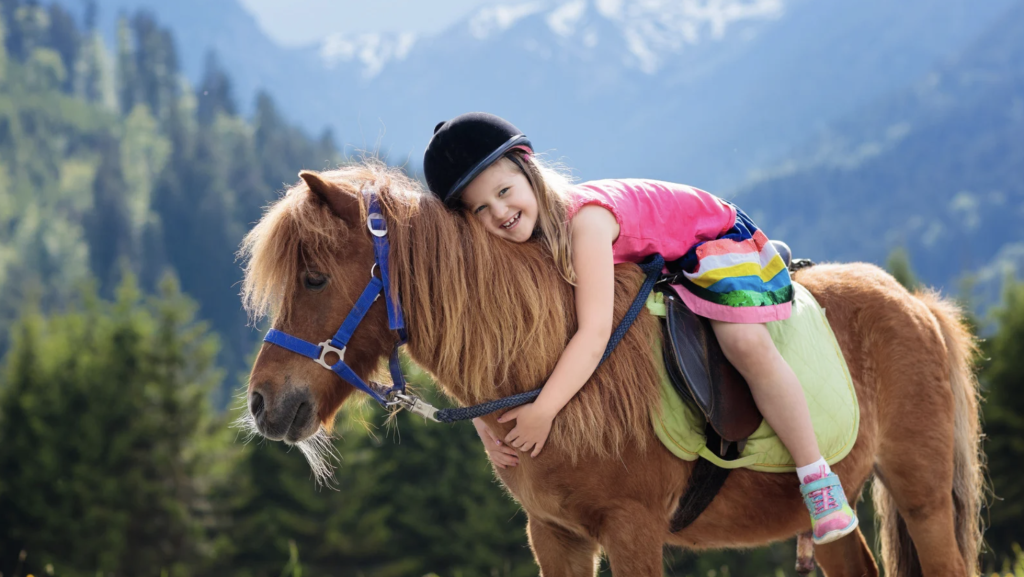 capture d’écran 2026 03 05 à 10.16.18