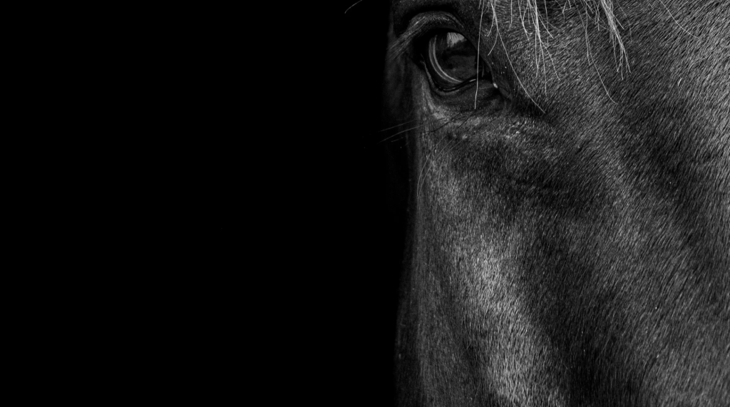 capture d’écran 2026 03 05 à 15.12.23