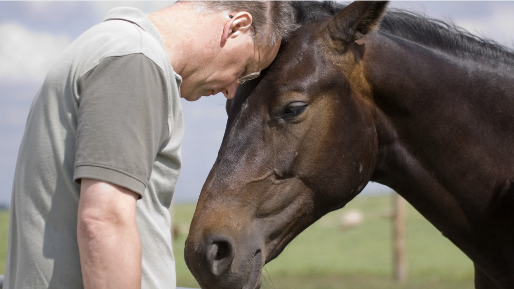 capture d’écran 2026 03 05 à 15.15.39